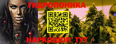 ГАЛЛЮЦИНОГЕННЫЕ ГРИБЫ Беслан