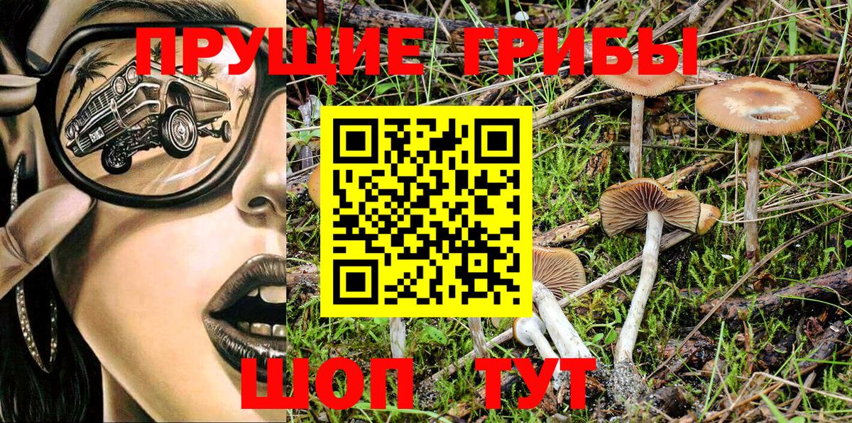 Псилоцибиновые грибы мухоморы  Псилоцибиновые грибы Psilocybe  Вход с VPN  Кисловодск 